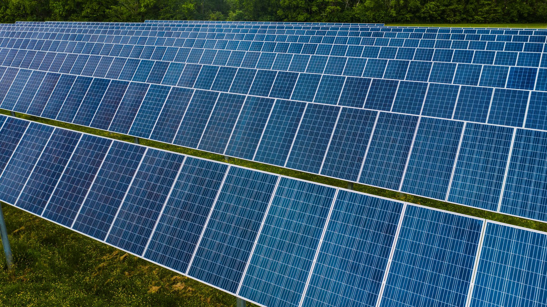 Renewable Energy